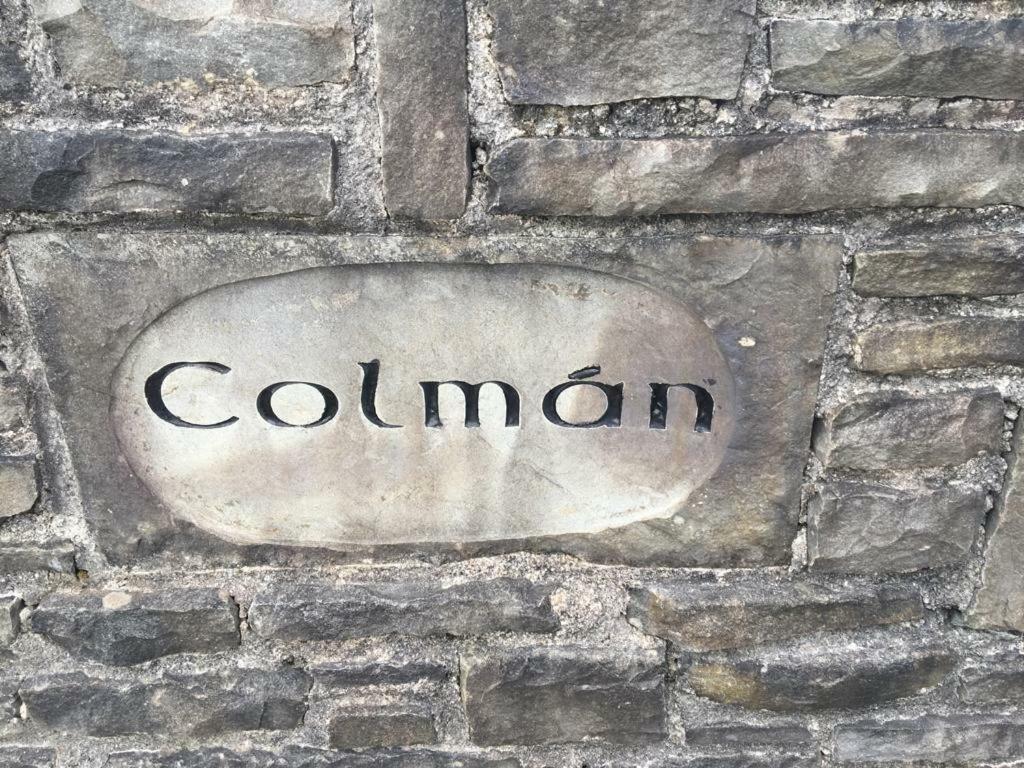 Colman House Bed and Breakfast Kilmihil Eksteriør billede